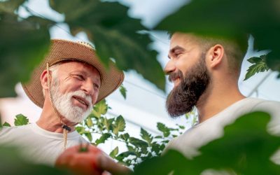 Mastering Farm Succession: Key Insights for Smooth Site Transfers