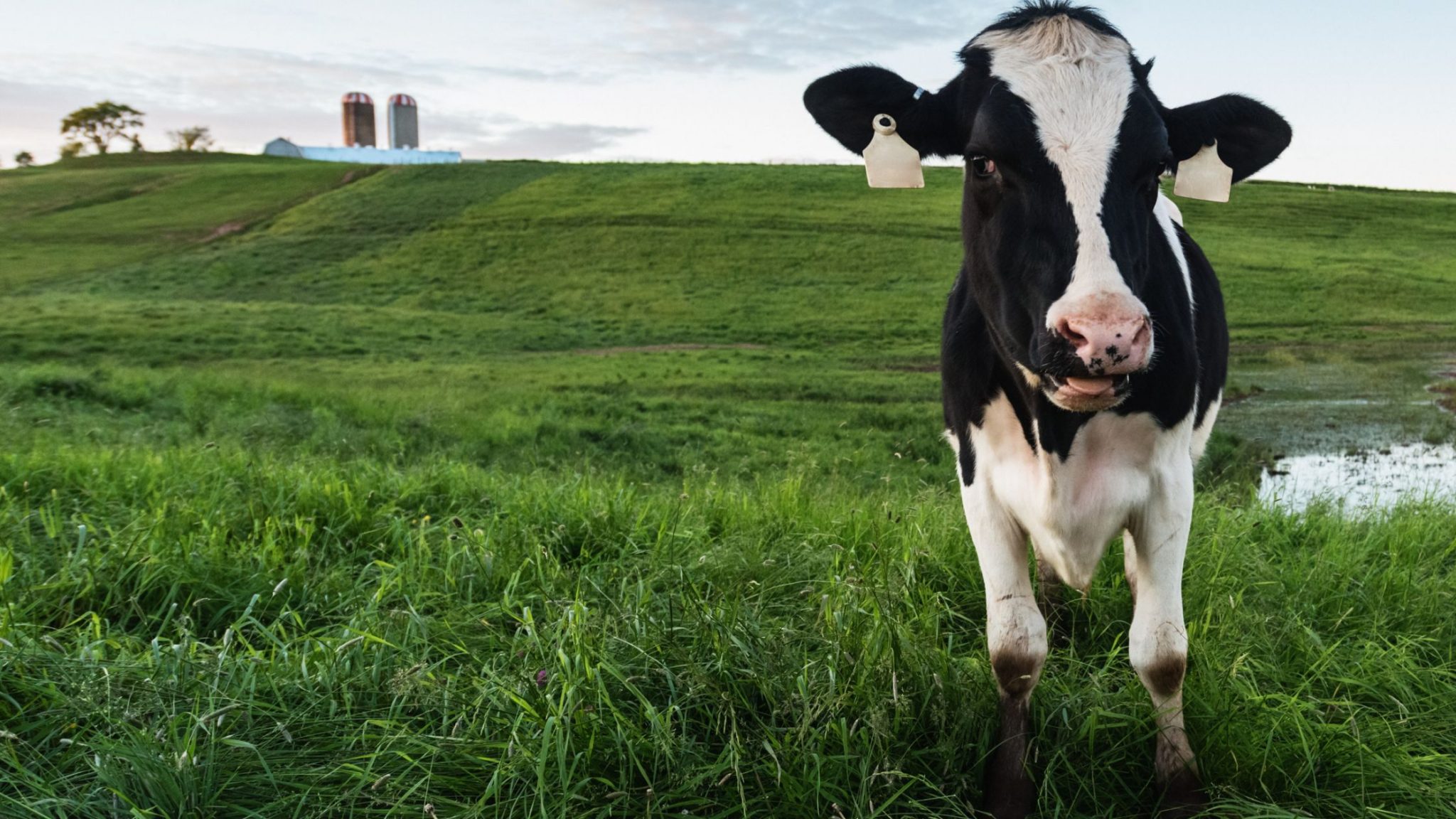 Accelerated Capital Allowance Scheme for Slurry Storage Facilities Improving Sustainability for Farmers
