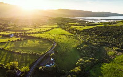 Údarás na Gaeltachta Grants: A Comprehensive Guide for Irish Business Owners